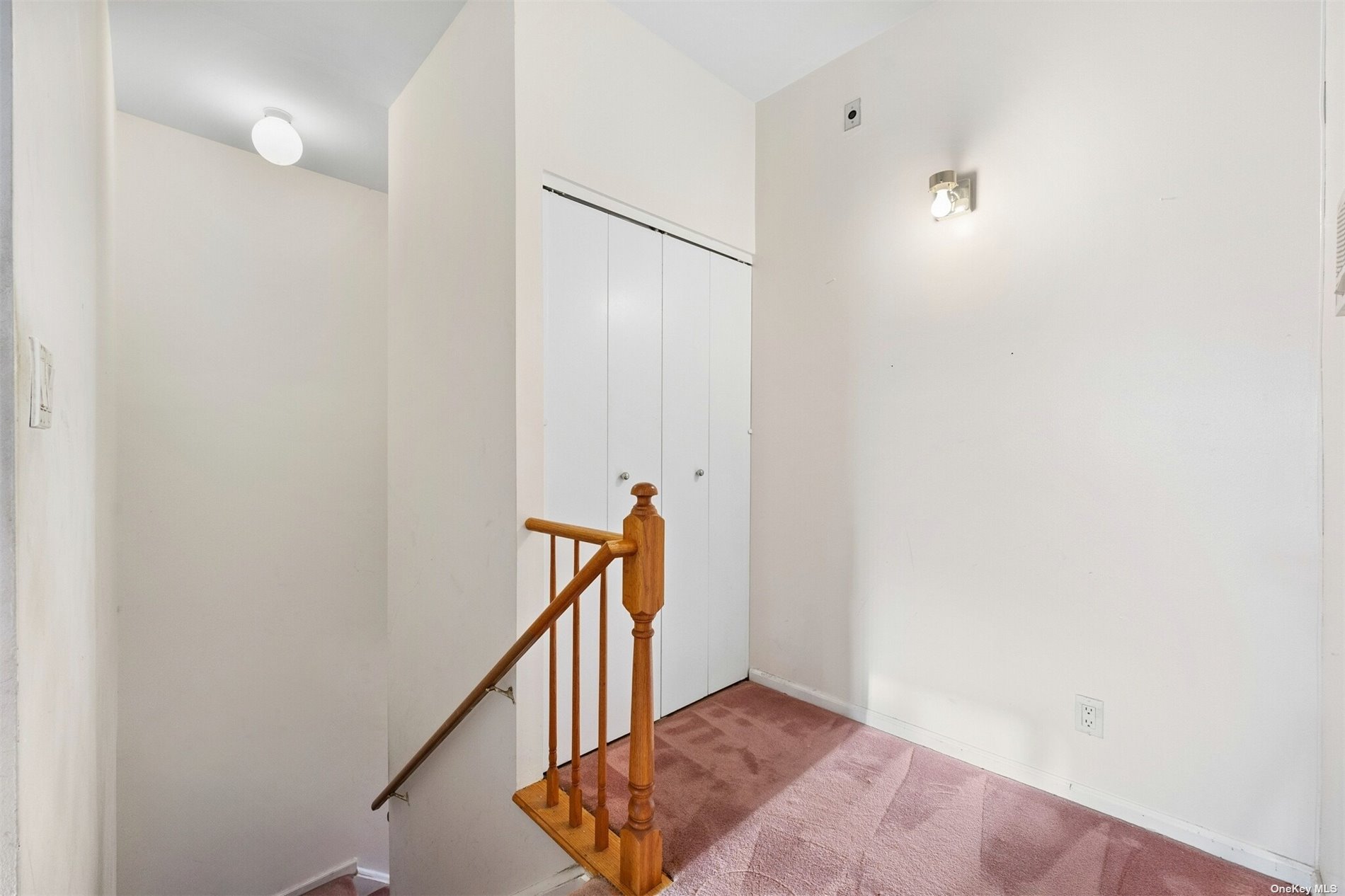 Condo Louisiana  Brooklyn, NY 11239, MLS-3519557-19