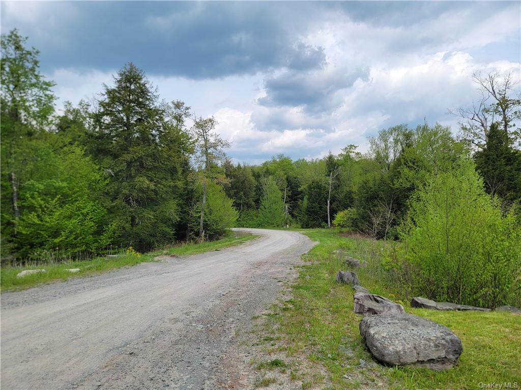 Land Eagles Ridge  Sullivan, NY 12768, MLS-H6232574-19