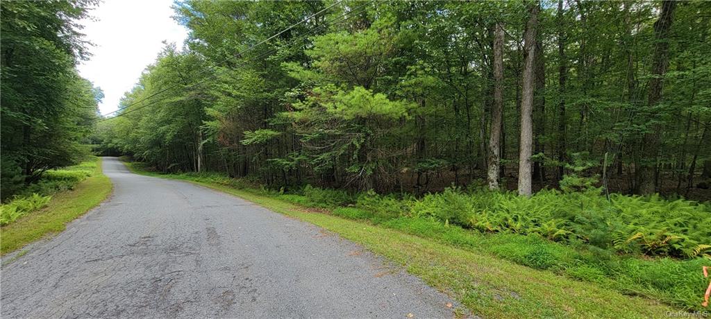 Land Hawks Nest  Out Of Area, NY 18428, MLS-H6265593-19