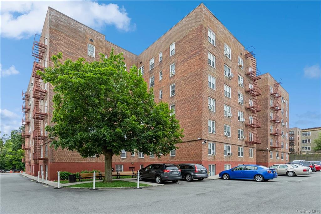 Coop Bronx River  Westchester, NY 10704, MLS-H6256643-19