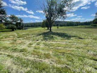 Land Cochecton  Sullivan, NY 12726, MLS-H6177700-19