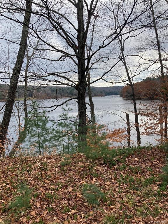 Land Plank  Sullivan, NY 12762, MLS-H6274706-19