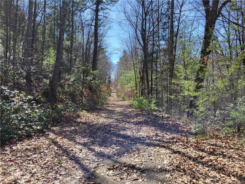 Land Old Plank  Ulster, NY 12420, MLS-H6180707-19