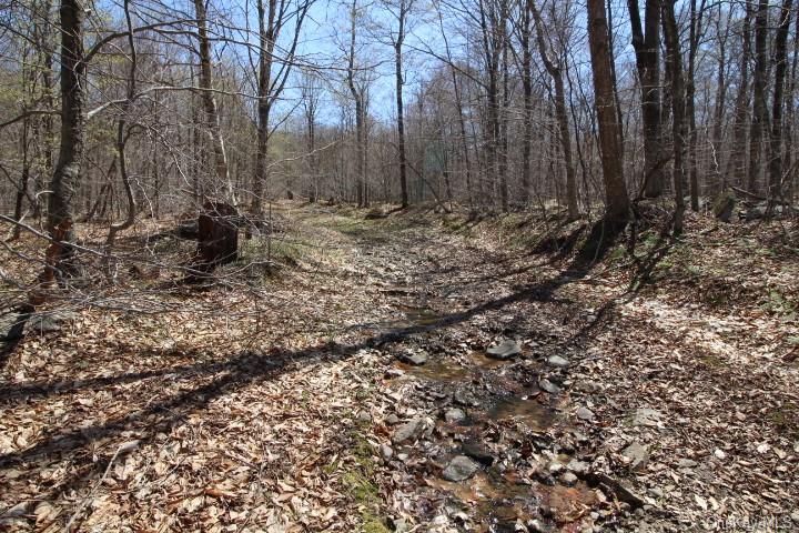 Land Cattail  Sullivan, NY 12758, MLS-H6244708-19