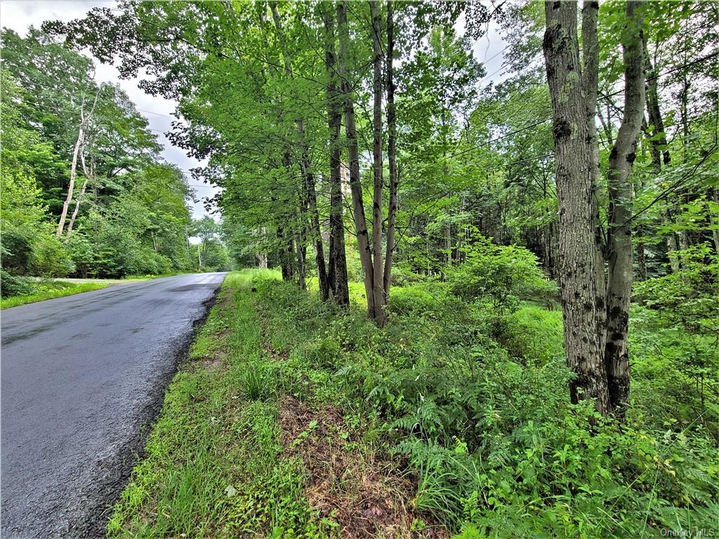 Land Goldsmith  Sullivan, NY 12783, MLS-H6258729-19