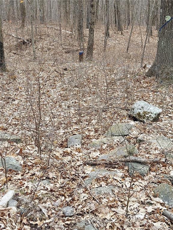 Land Grape Hollow  Dutchess, NY 12531, MLS-H6241803-19