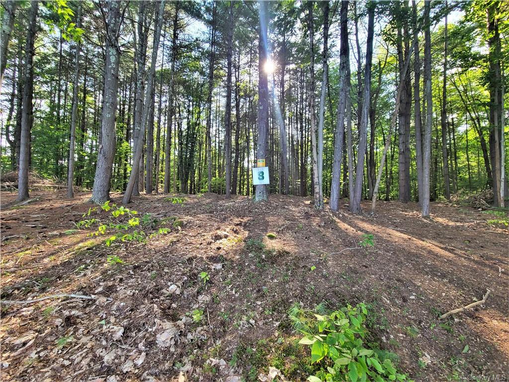 Land Woodstone  Sullivan, NY 12786, MLS-H6267818-19