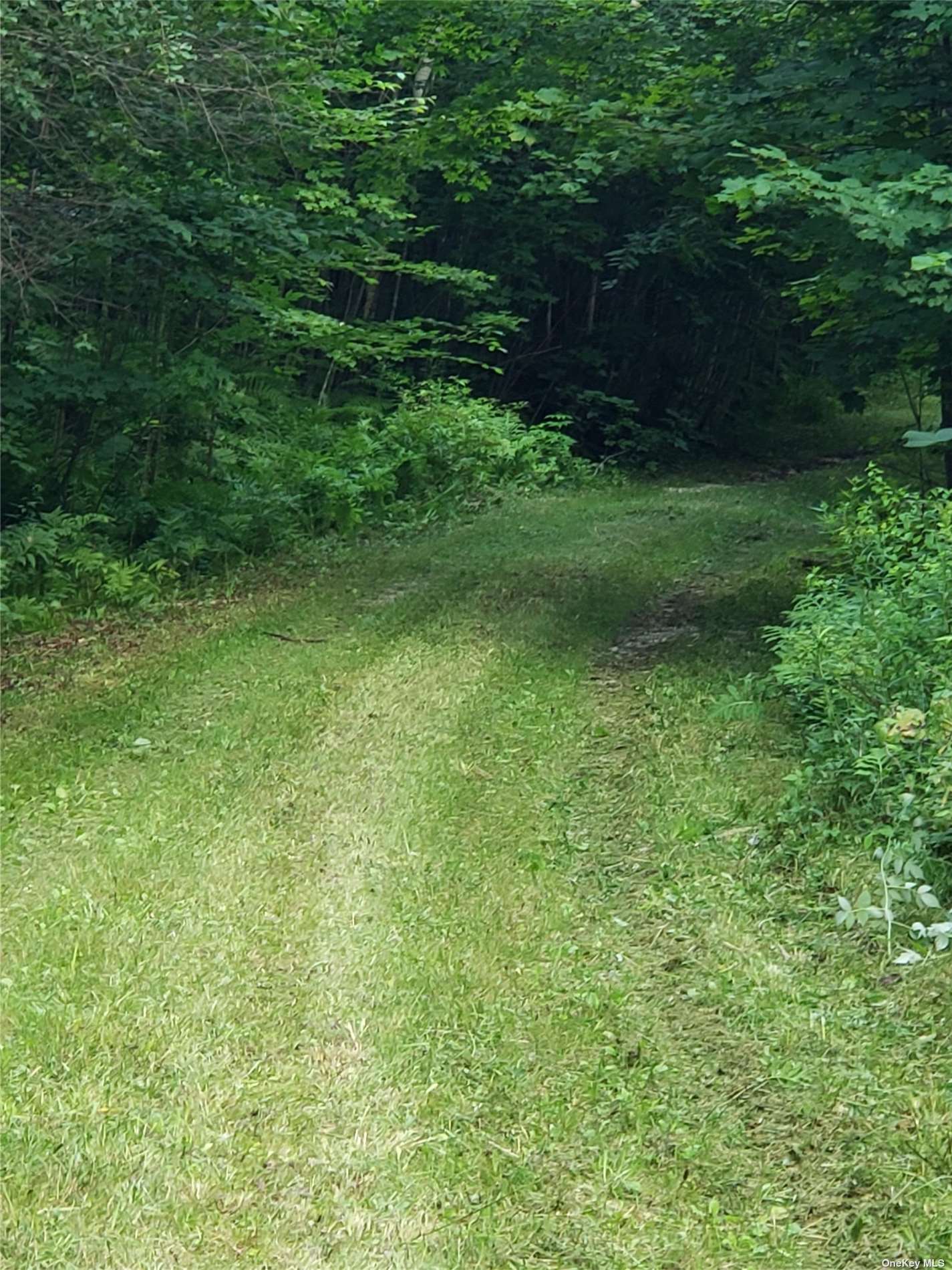 Land Stone  Out Of Area, NY 12953, MLS-3464836-19