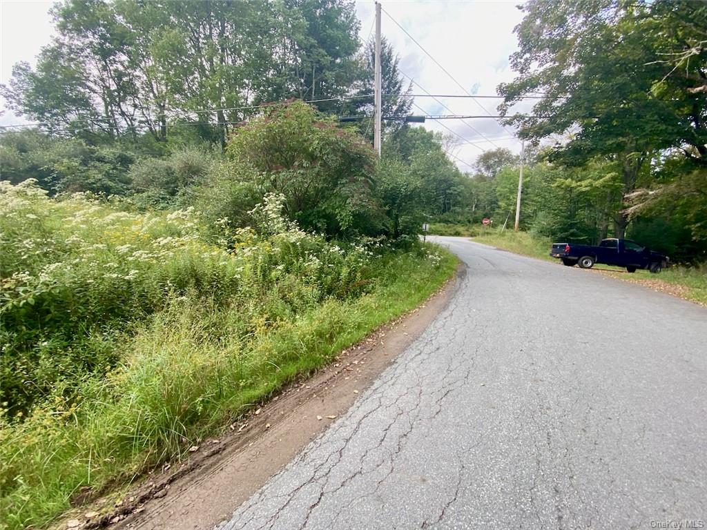 Land Moscoe  Sullivan, NY 12720, MLS-H6241893-19