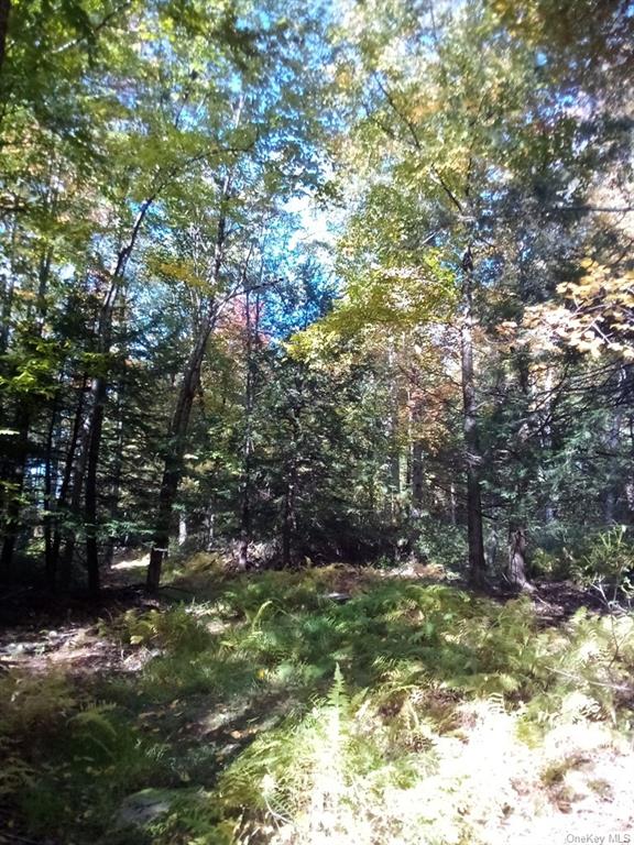 Land Mount Vernon  Sullivan, NY 12790, MLS-H6215980-19