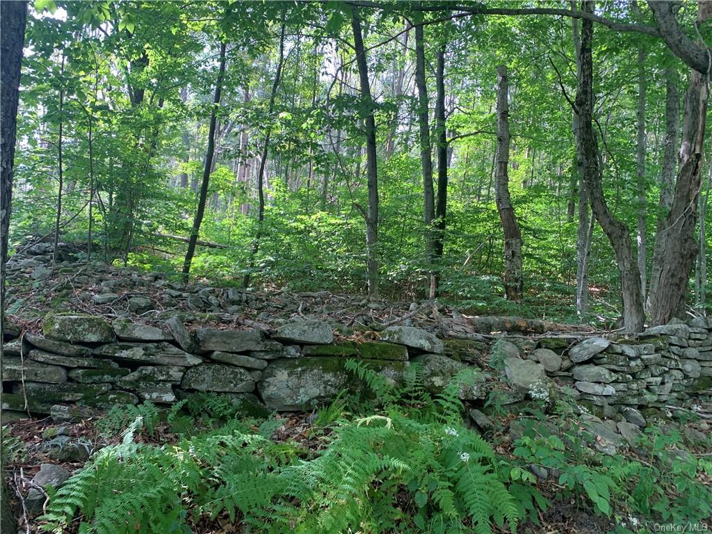 Land Bethlehem Tr12  Sullivan, NY 12736, MLS-H6250014-2