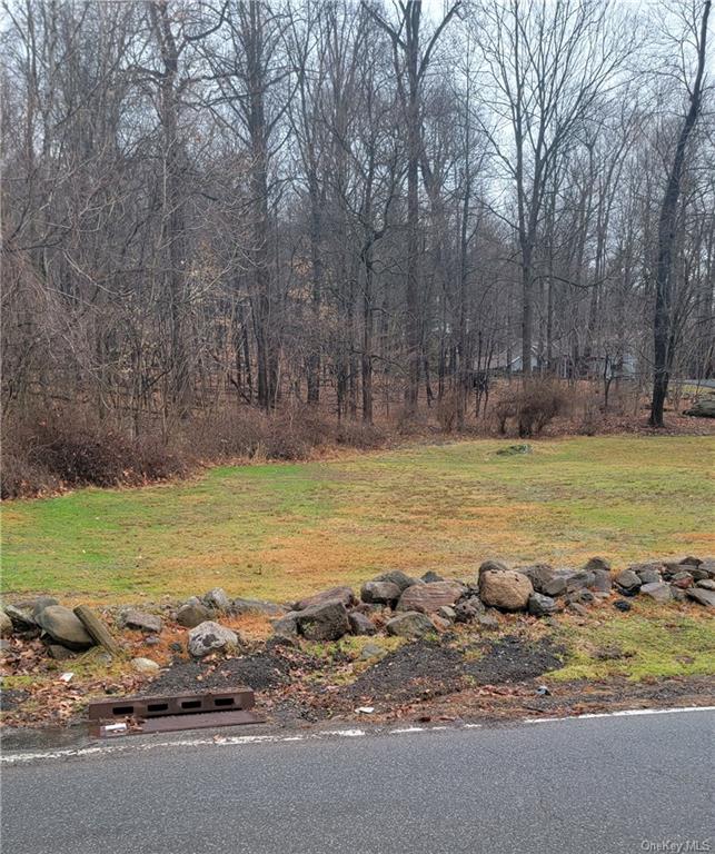 Land Mountain  Rockland, NY 10956, MLS-H6227040-2