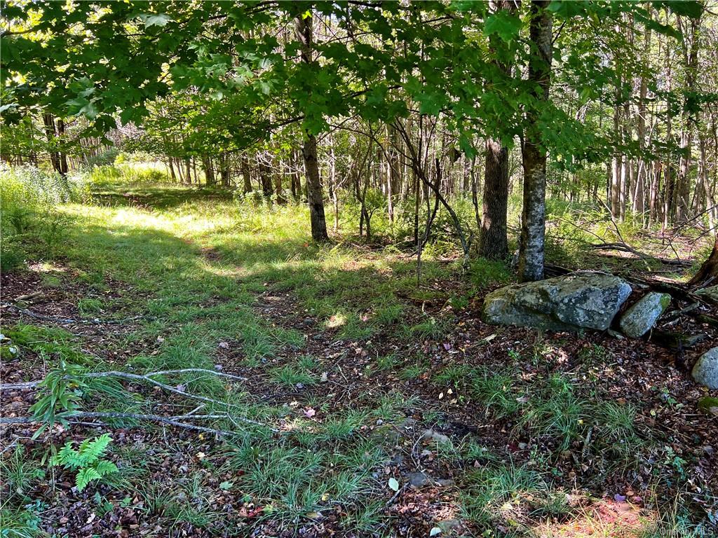 Land Snow Hill  Sullivan, NY 12768, MLS-H6267046-2