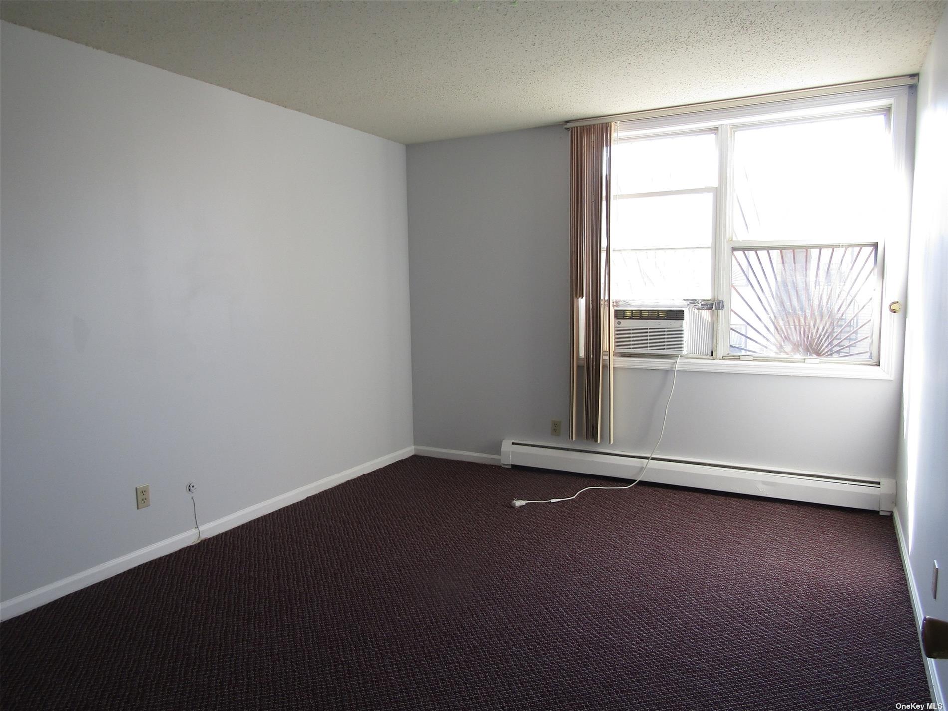 Apartment Guy R Brewer  Queens, NY 11433, MLS-3517054-2