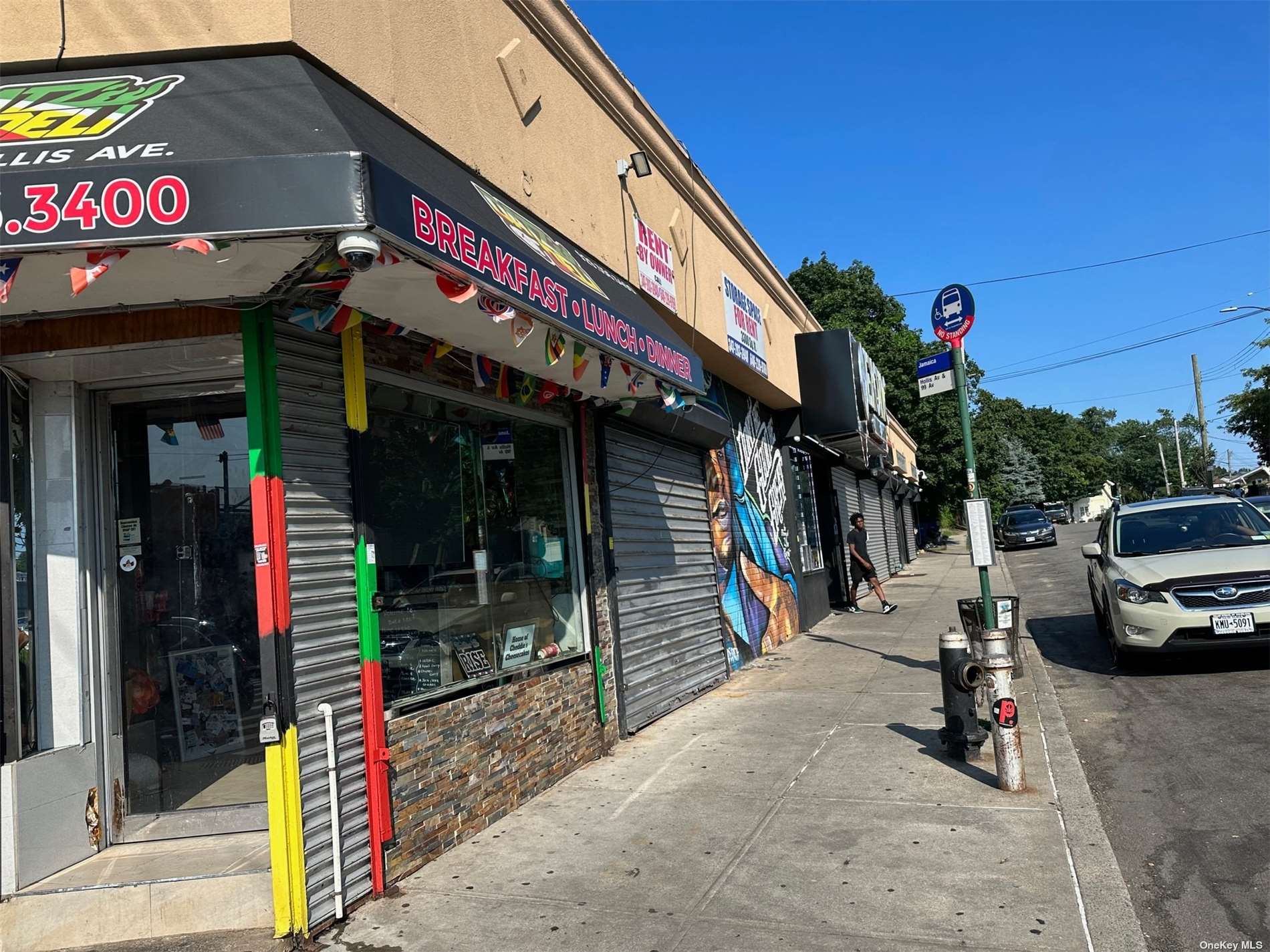 Commercial Sale Hollis  Queens, NY 11423, MLS-3500056-2