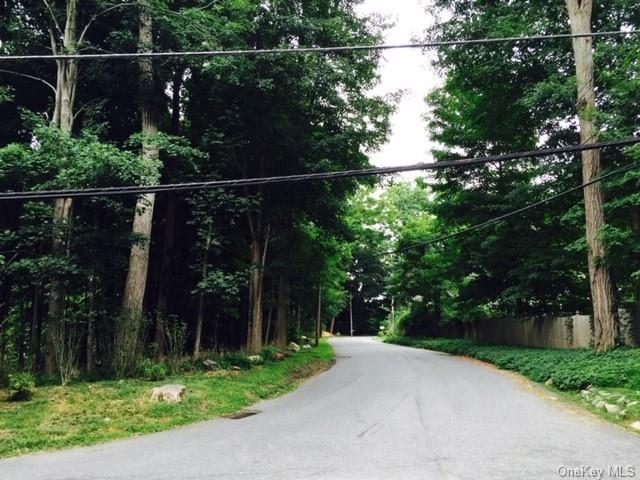 Land Hickory  Westchester, NY 10598, MLS-H6165063-2
