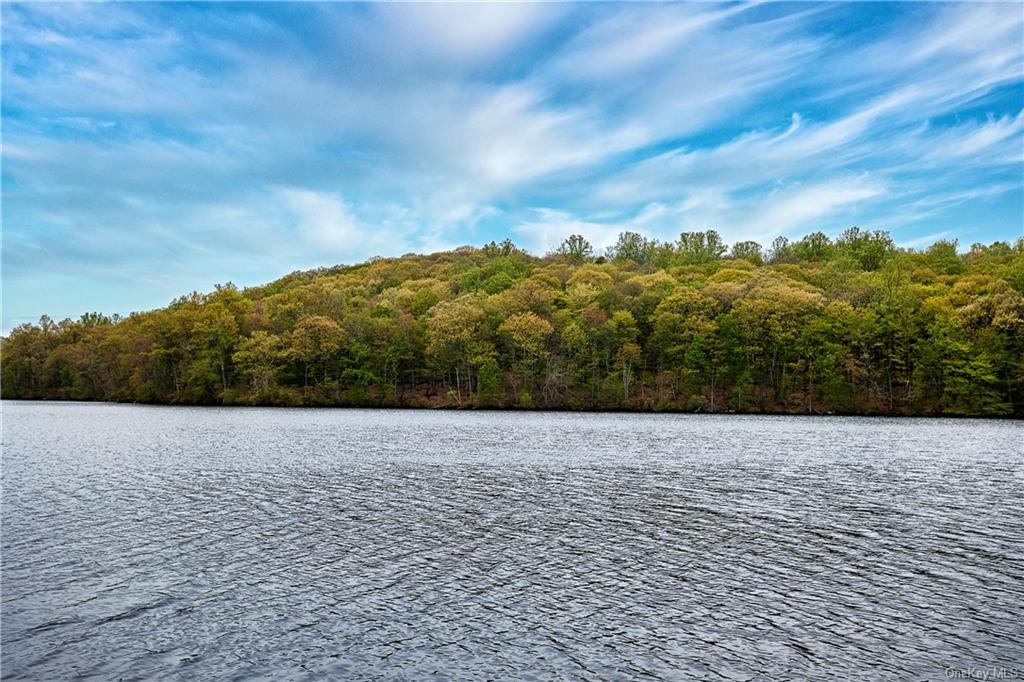 Land Pierson Lakes  Rockland, NY 10974, MLS-H6246068-2