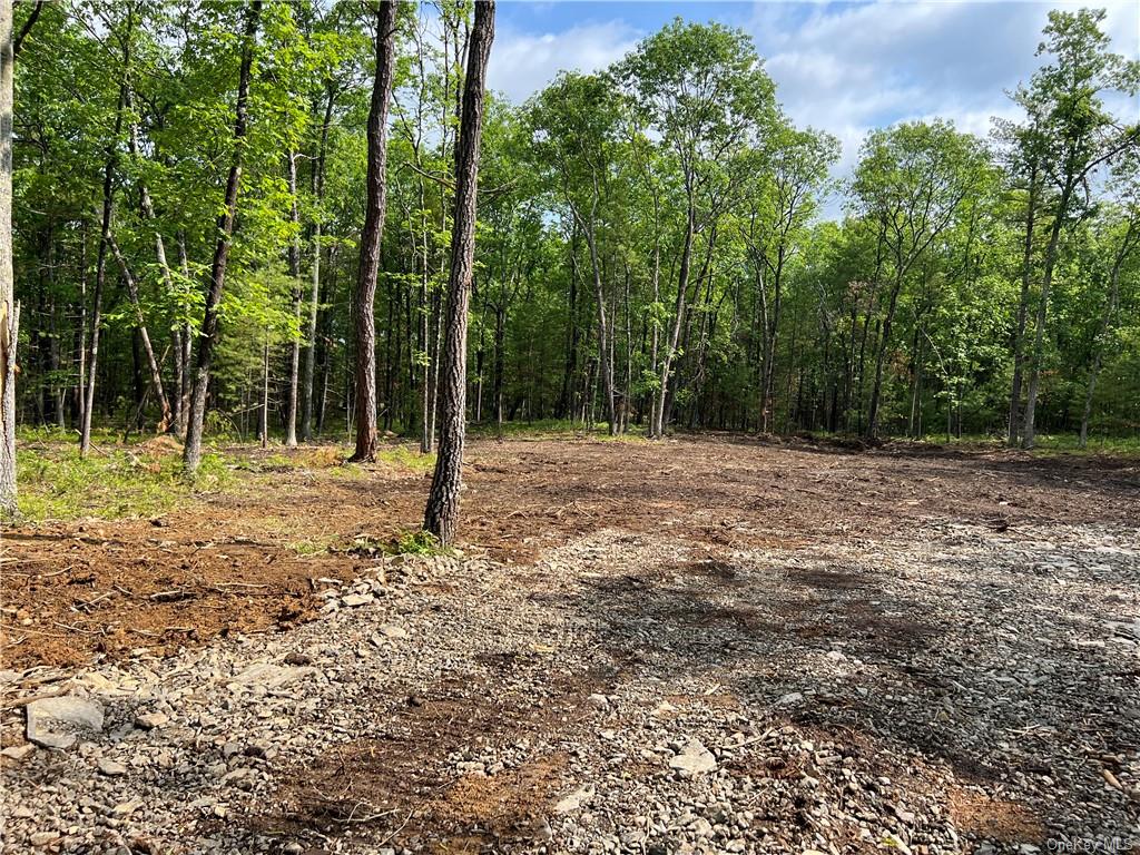 Land Reilly  Ulster, NY 12401, MLS-H6252070-2