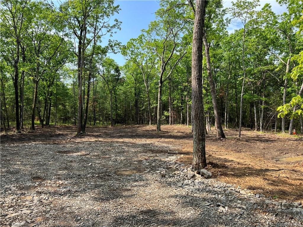 Land Reilly  Ulster, NY 12401, MLS-H6252074-2