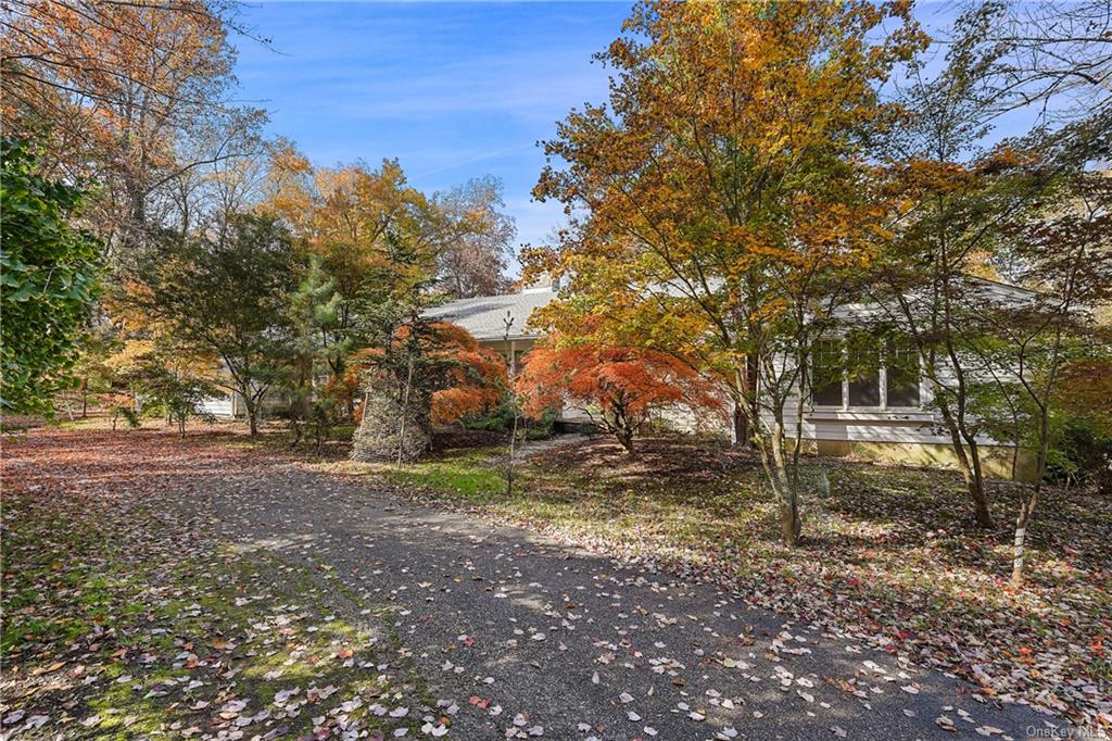 Single Family Crow Hill  Westchester, NY 10549, MLS-H6274074-2