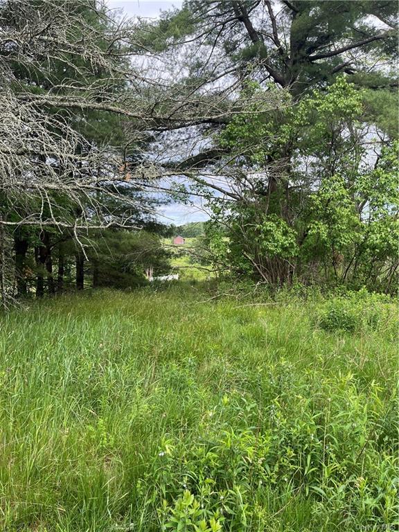 Land State Route 17 B  Sullivan, NY 12720, MLS-H6258084-2