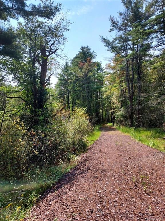 Land County Route 31  Sullivan, NY 12737, MLS-H6257089-2