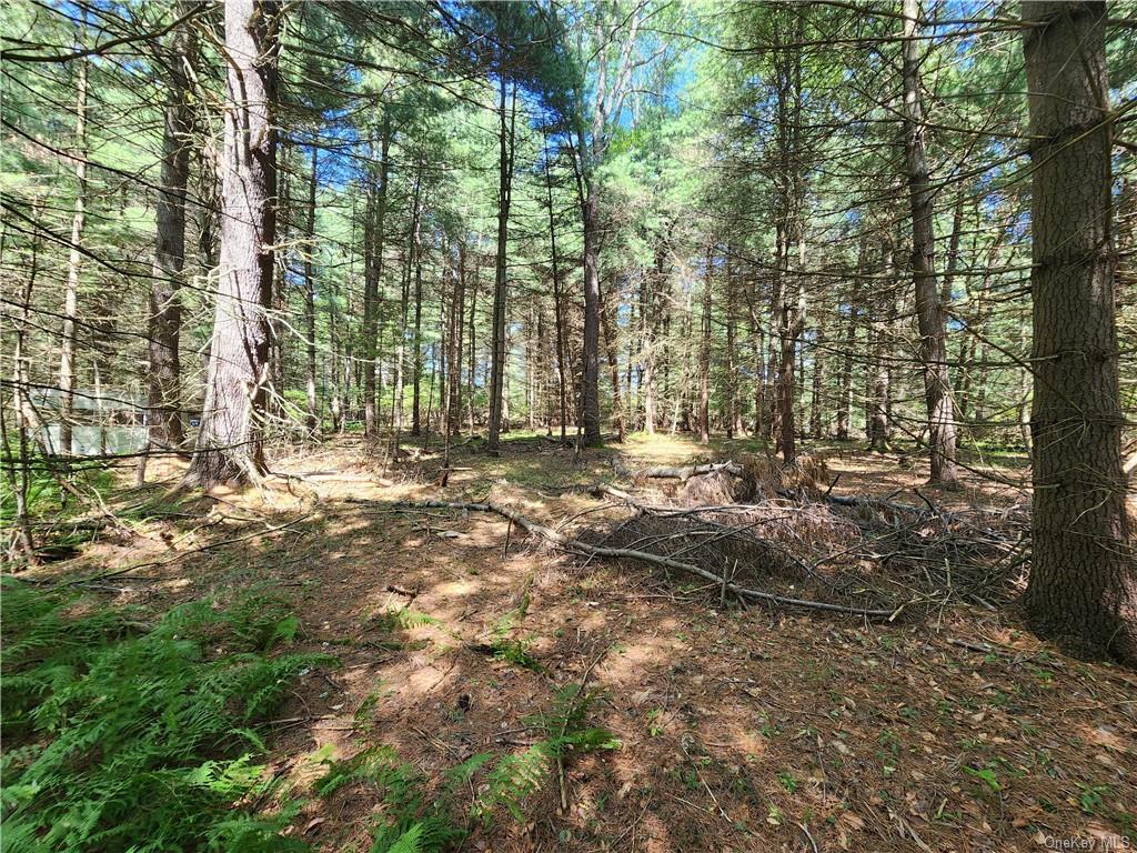 Land Dill  Sullivan, NY 12777, MLS-H6261089-2