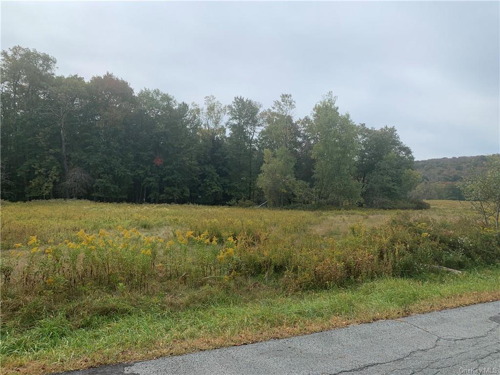 Land Krum Road Tr 77  Sullivan, NY 12733, MLS-H6205094-2