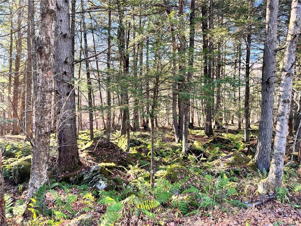 Land Old County  Sullivan, NY 12726, MLS-H6245095-2