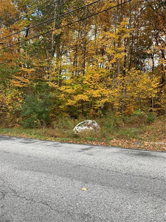 Land South  Dutchess, NY 12531, MLS-H6217102-2