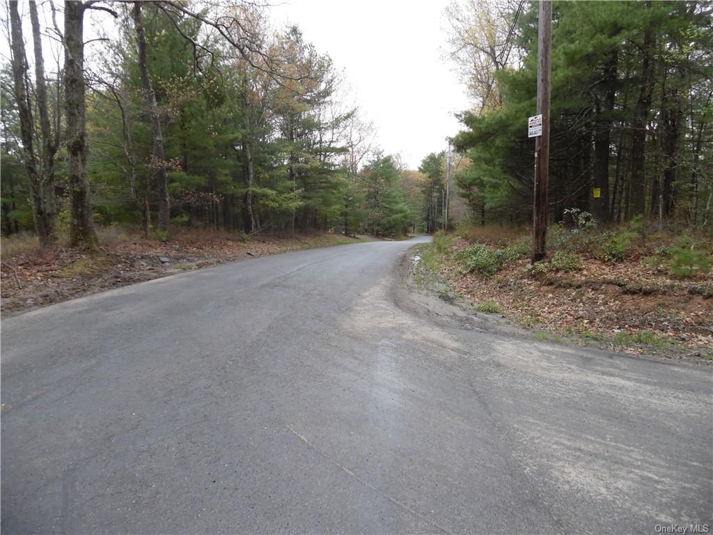 Land Dunn Town  Sullivan, NY 12790, MLS-H6247116-2