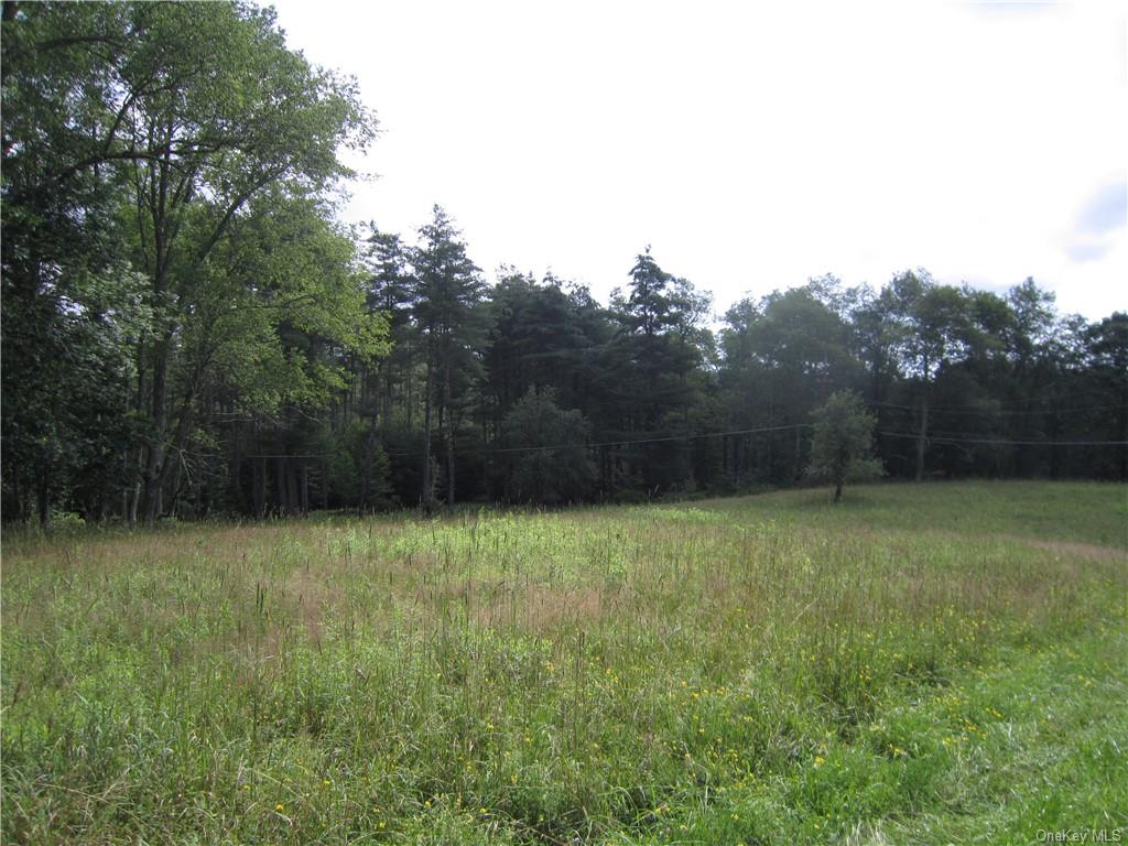 Land St. Rt,  52 & Old Country  Sullivan, NY 12726, MLS-H6262117-2