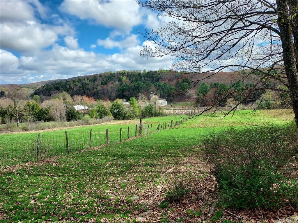 Land Faubel  Sullivan, NY 12748, MLS-H6239121-2