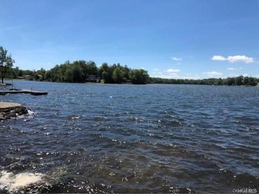 Land Lake Shore  Sullivan, NY 12775, MLS-H6222134-2