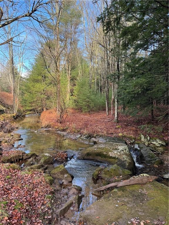 Land Tbd Clark Road Tr 21  Sullivan, NY 12733, MLS-H6280144-2