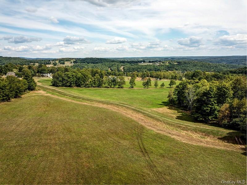 Land 01 Bauernfeind  Sullivan, NY 12723, MLS-H6213146-2