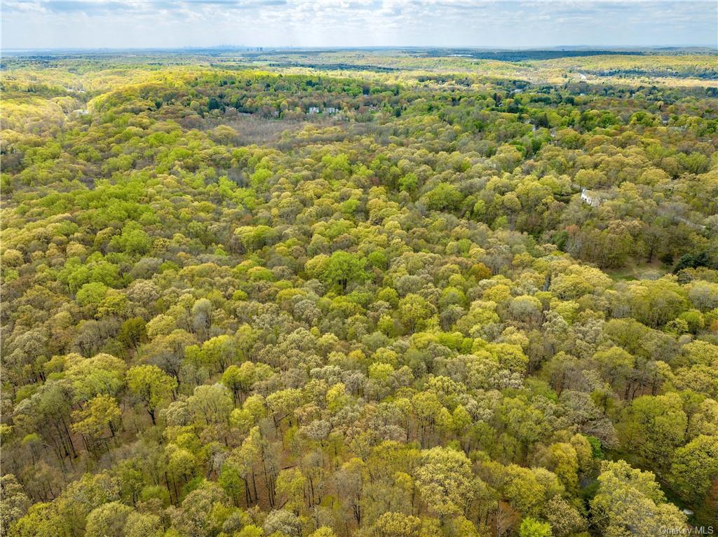 Land Creemer  Westchester, NY 10504, MLS-H6251162-2