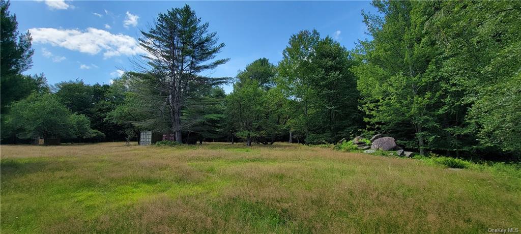 Land Westervelt  Sullivan, NY 12726, MLS-H6264186-2