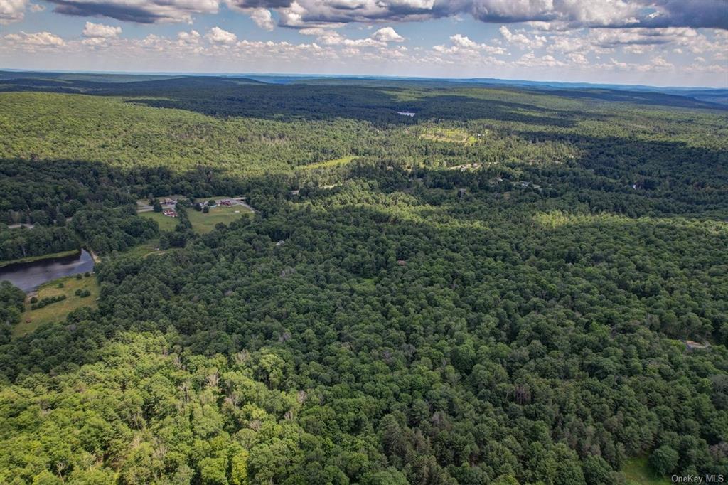 Land N/s French Clearing  Sullivan, NY 12777, MLS-H6195187-2