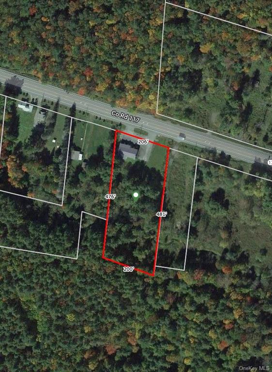 Commercial Sale State Route 17b  Sullivan, NY 12701, MLS-H6240189-2