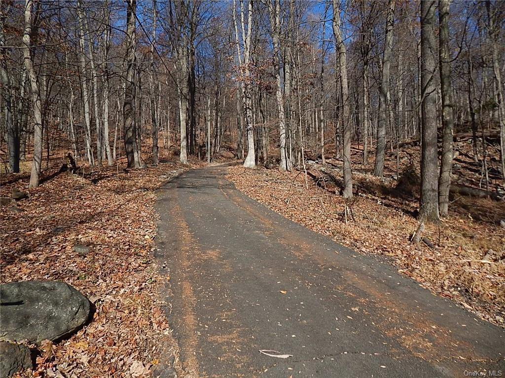 Land Mountain  Rockland, NY 10956, MLS-H6279191-2