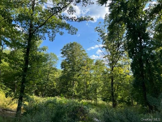 Land Deerwood  Dutchess, NY 12533, MLS-H6212196-2