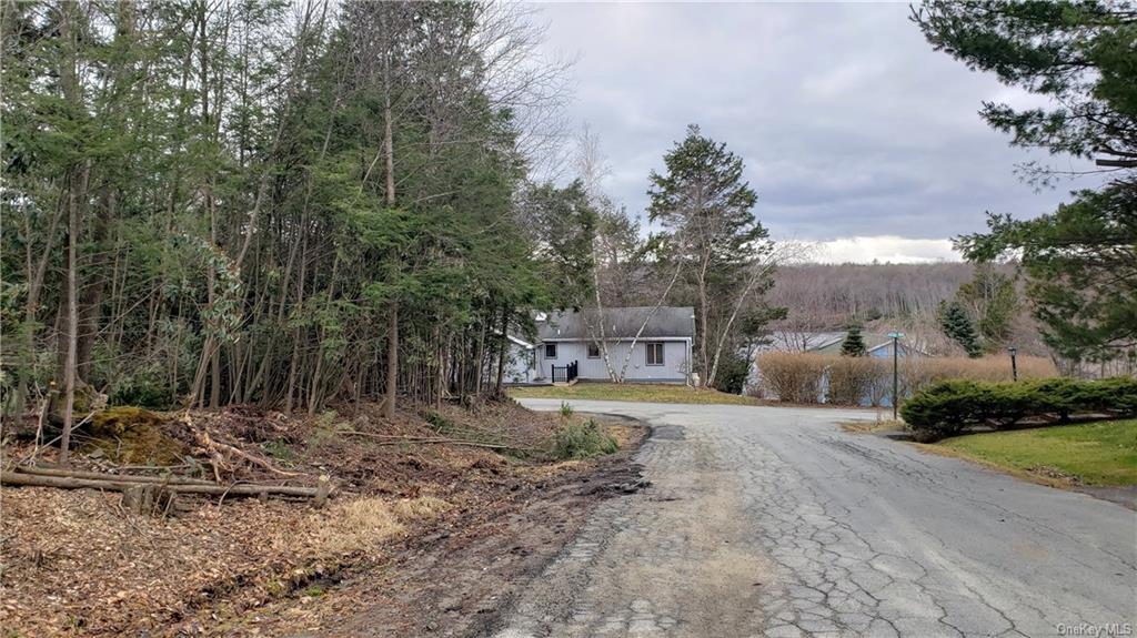 Land Lakeside  Sullivan, NY 12759, MLS-H6234206-2