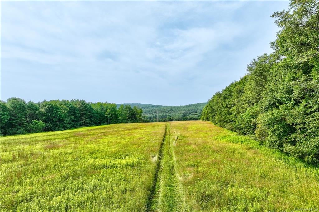 Land Rolling Meadows  Sullivan, NY 12787, MLS-H6261215-2