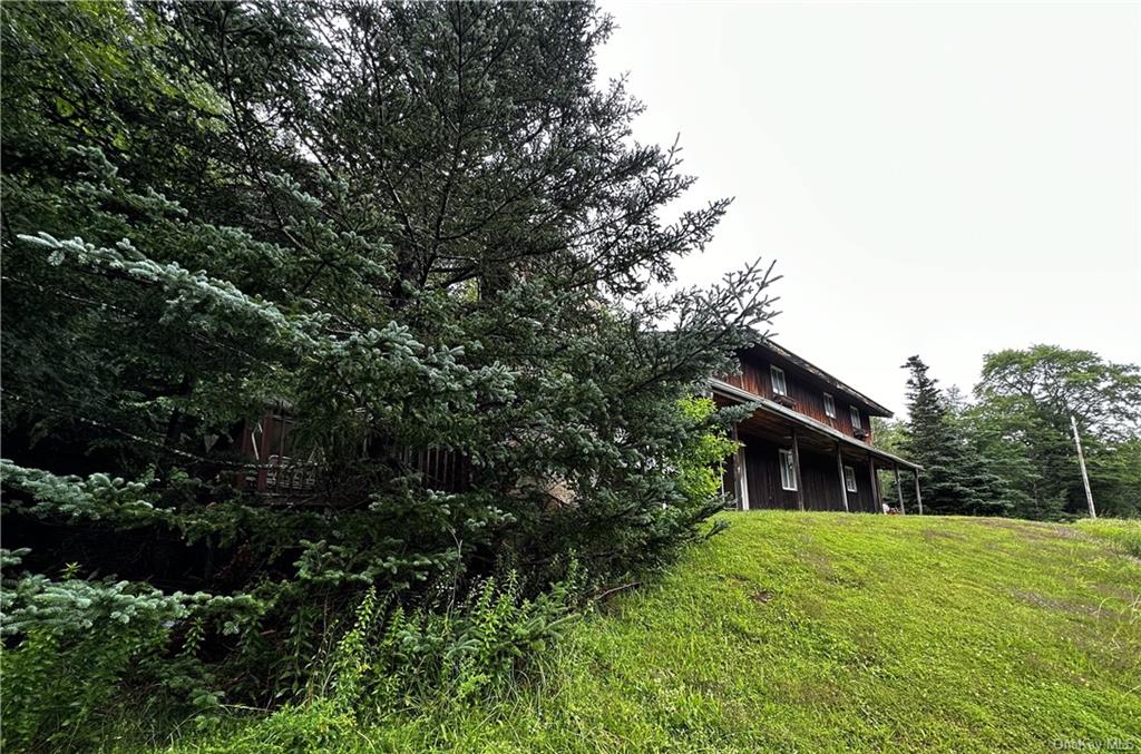 Single Family June Lodge  Greene, NY 12485, MLS-H6273239-2