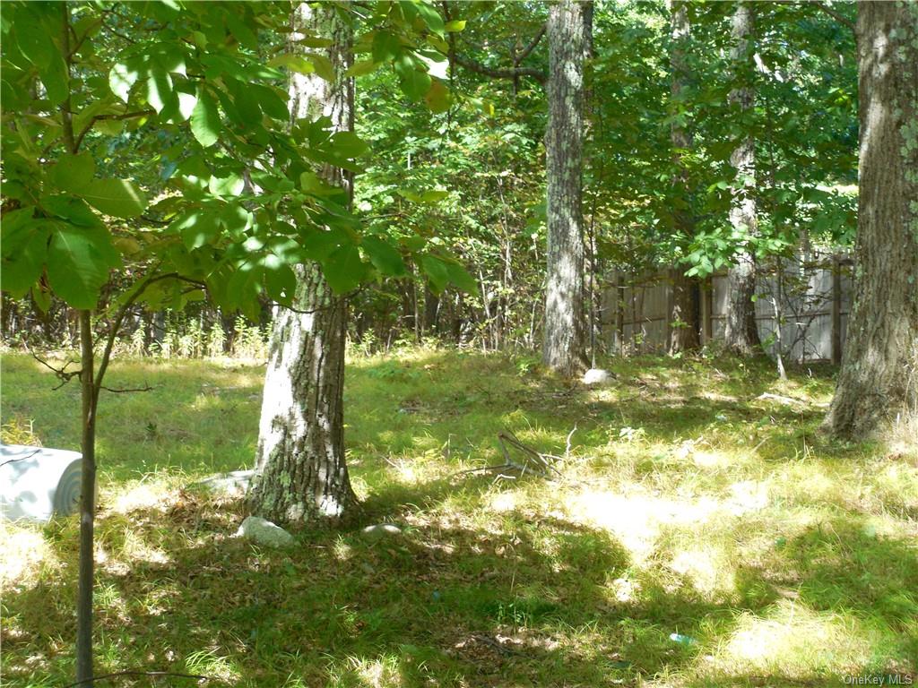 Land Shawanga Lodge  Sullivan, NY 12721, MLS-H6215260-2