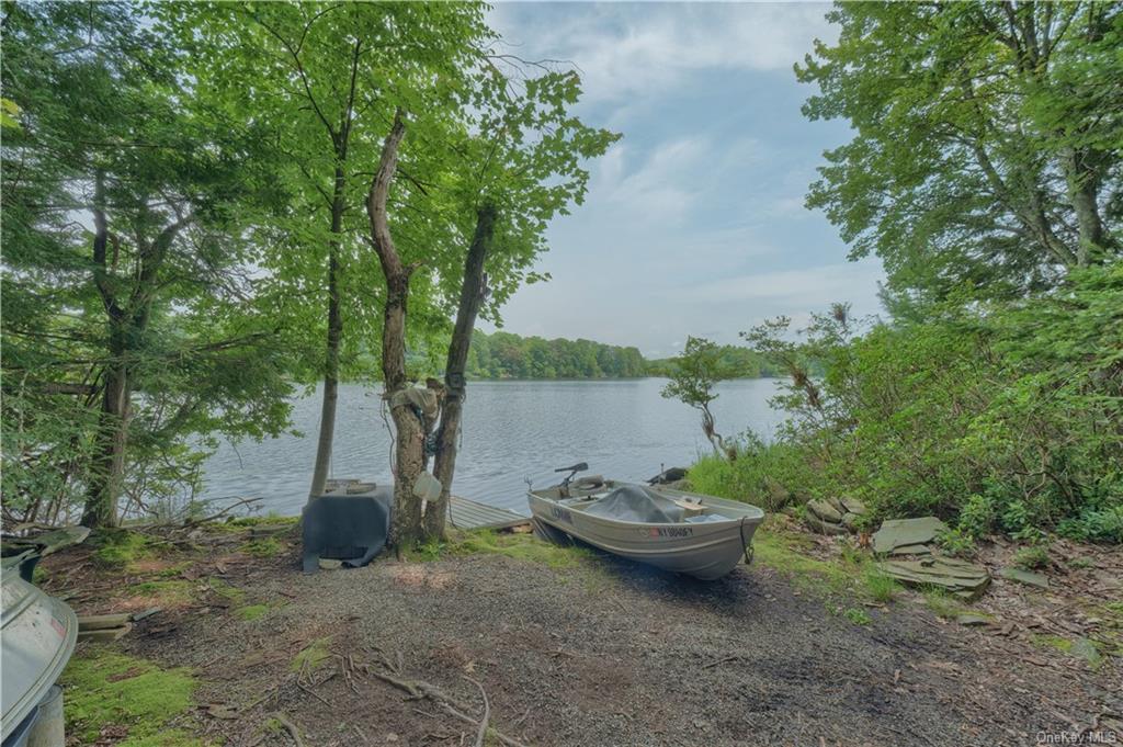 Land Shore  Sullivan, NY 12790, MLS-H6174271-2