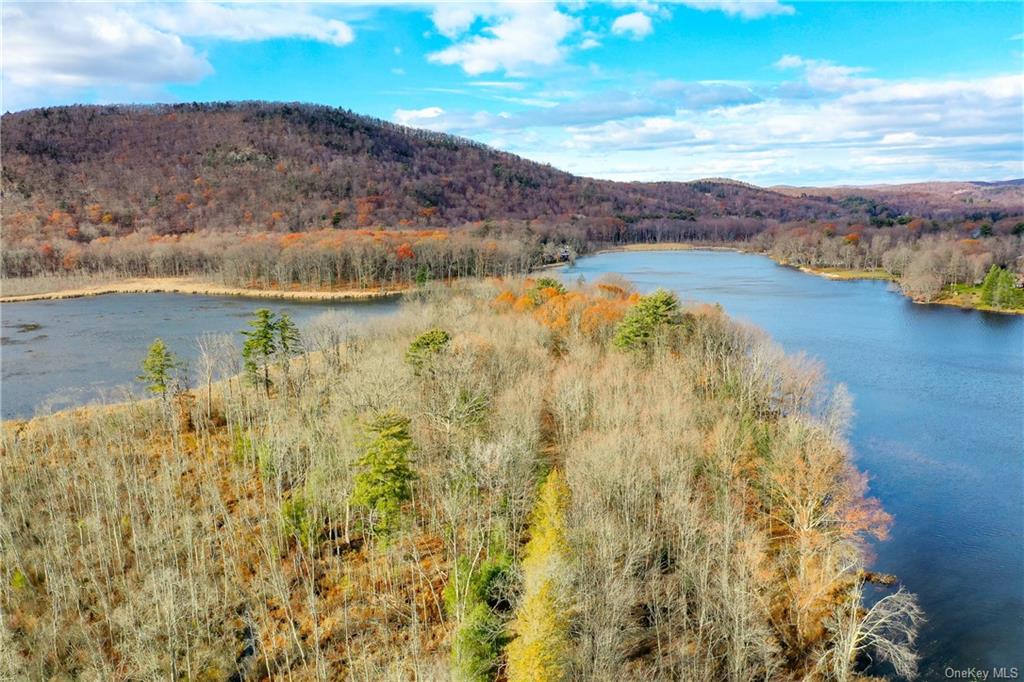 Land Lake  Dutchess, NY 12567, MLS-H6280278-2