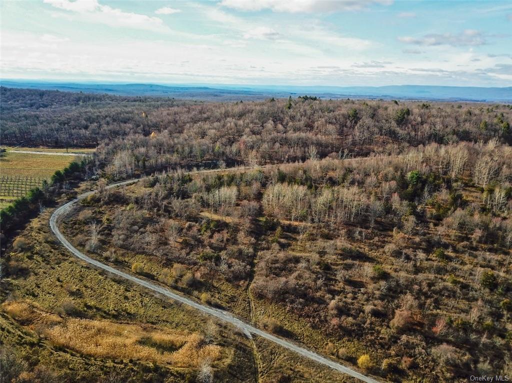 Land Truncali  Ulster, NY 12542, MLS-H6263292-2