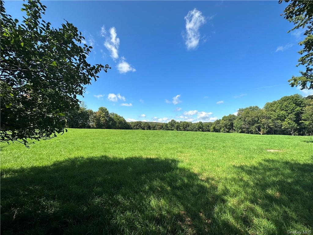 Land Menges  Sullivan, NY 12791, MLS-H6268308-2